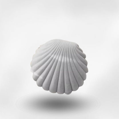 RoyalCoffer Gris Boîte à bijoux <br> coquillage